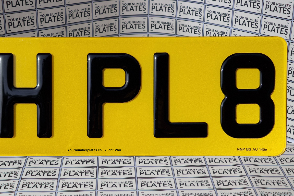 3d ge plate zoom