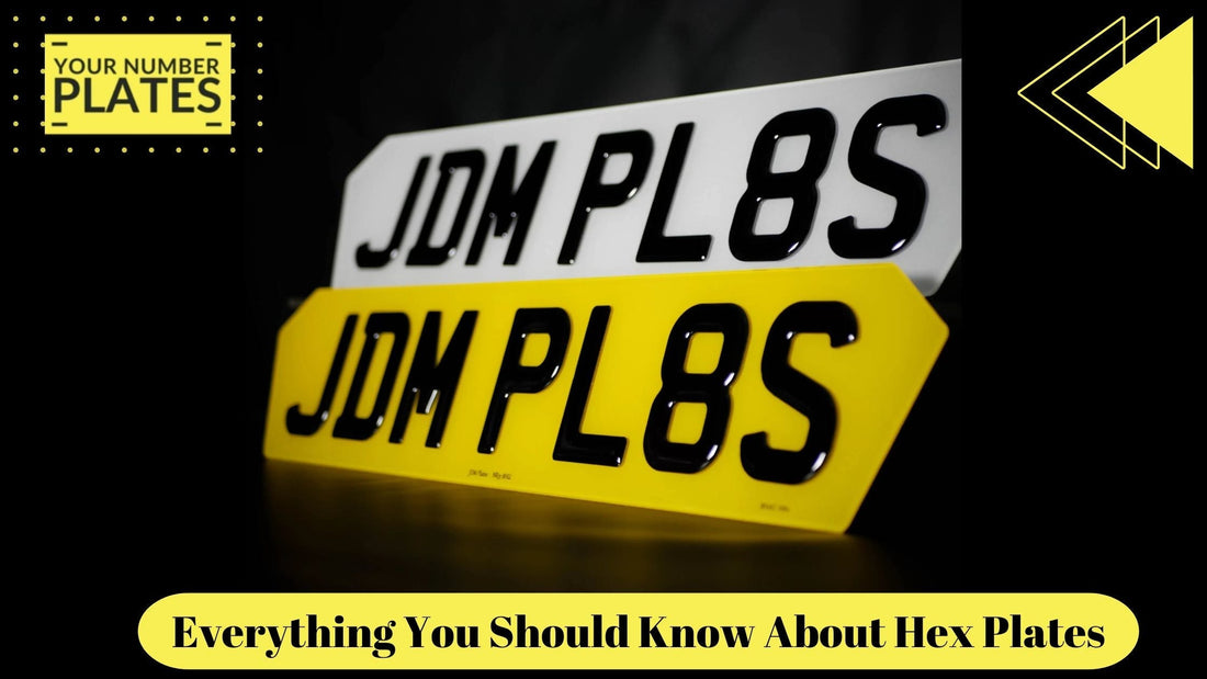 Everything You Should Know About Hex Plates
