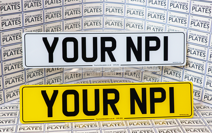 Replacement Standard oblong number plates, pair with a border