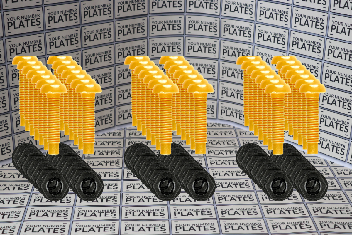 motorbike number plate plastic nuts and bolts